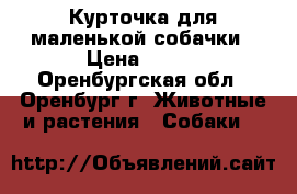 Курточка для маленькой собачки › Цена ­ 300 - Оренбургская обл., Оренбург г. Животные и растения » Собаки   